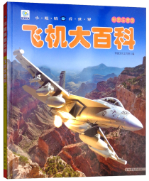 飞机大百科 彩图注音版科普读物 小眼睛看世界儿童科学启蒙认知百科全书寒假阅读寒假课外书课外寒假自主阅读假期读物省钱卡