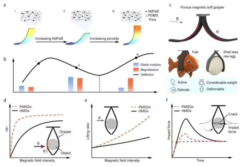 中科大成功研发多孔磁性软体抓手 可抓取蒲公英和去壳生蛋