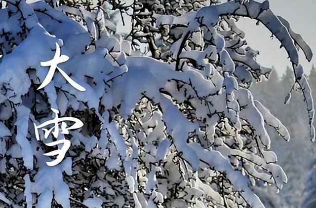 “大雪吃3宝, 不往医院跑”，12月6日大雪，是哪三宝?咋吃更营养？