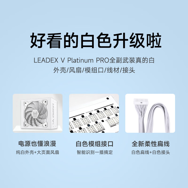 振华（SUPER FLOWER）额定1000W LEADEX VP1000W 电脑电源白金牌/智能全