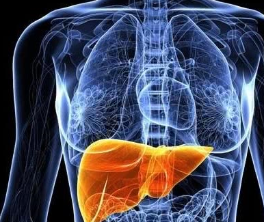 从肝炎到肝癌，躲不过这5大习惯！这3种食物最护肝