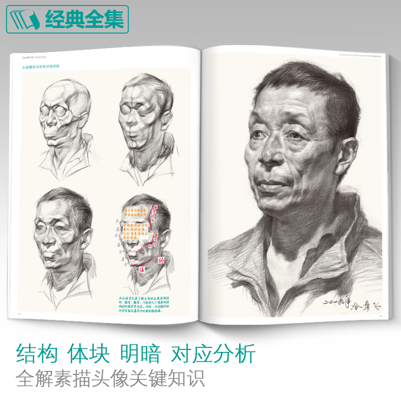 经典全集 全解素描头像人物临摹书结构体块深度分析教程对画写生绘画照片范本美术高考联考美院大8开八开教材 杨建飞主编