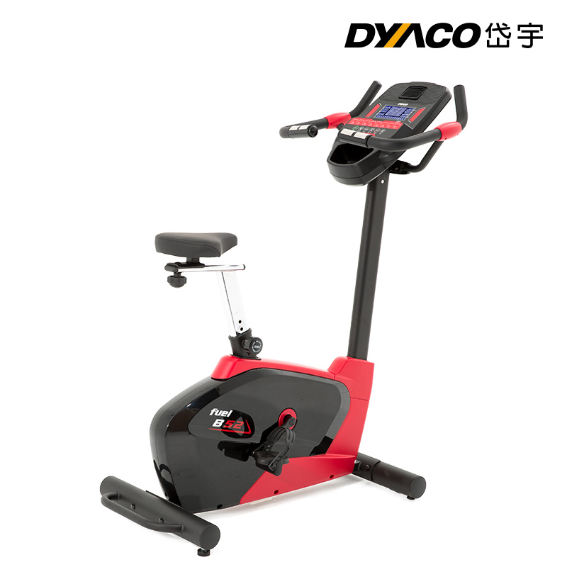 DYACO岱宇健身车家用动感单车电磁控静音原装进口智能室内单车B52
